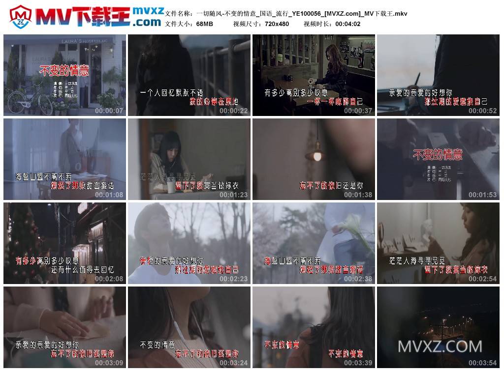 一切随风-不变的情意_国语_流行_YE100056